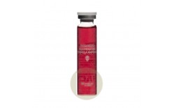 "Ампульный концентрат ""Омоложение""/REJUVENATING  FORMULA AMPOULE (RED)" 20 мл