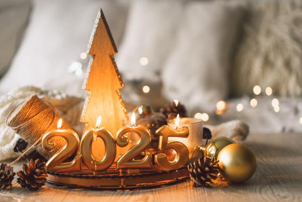 Поздравляем с наступающим 2025 годом! График работы клиники в праздничные дни. Поздравляем с наступающим 2025 годом! График работы клиники в праздничные дни.