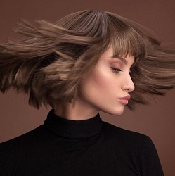  Почему выпадают волосы: популярные мифы и научные факты – Медицина обо мне.